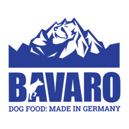 Bavaro